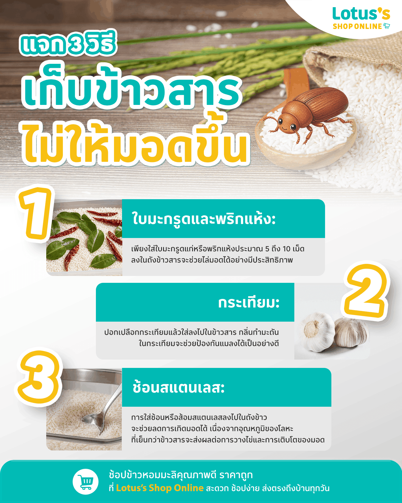 วิธีเก็บข้าวสารไม่ให้มอดขึ้น