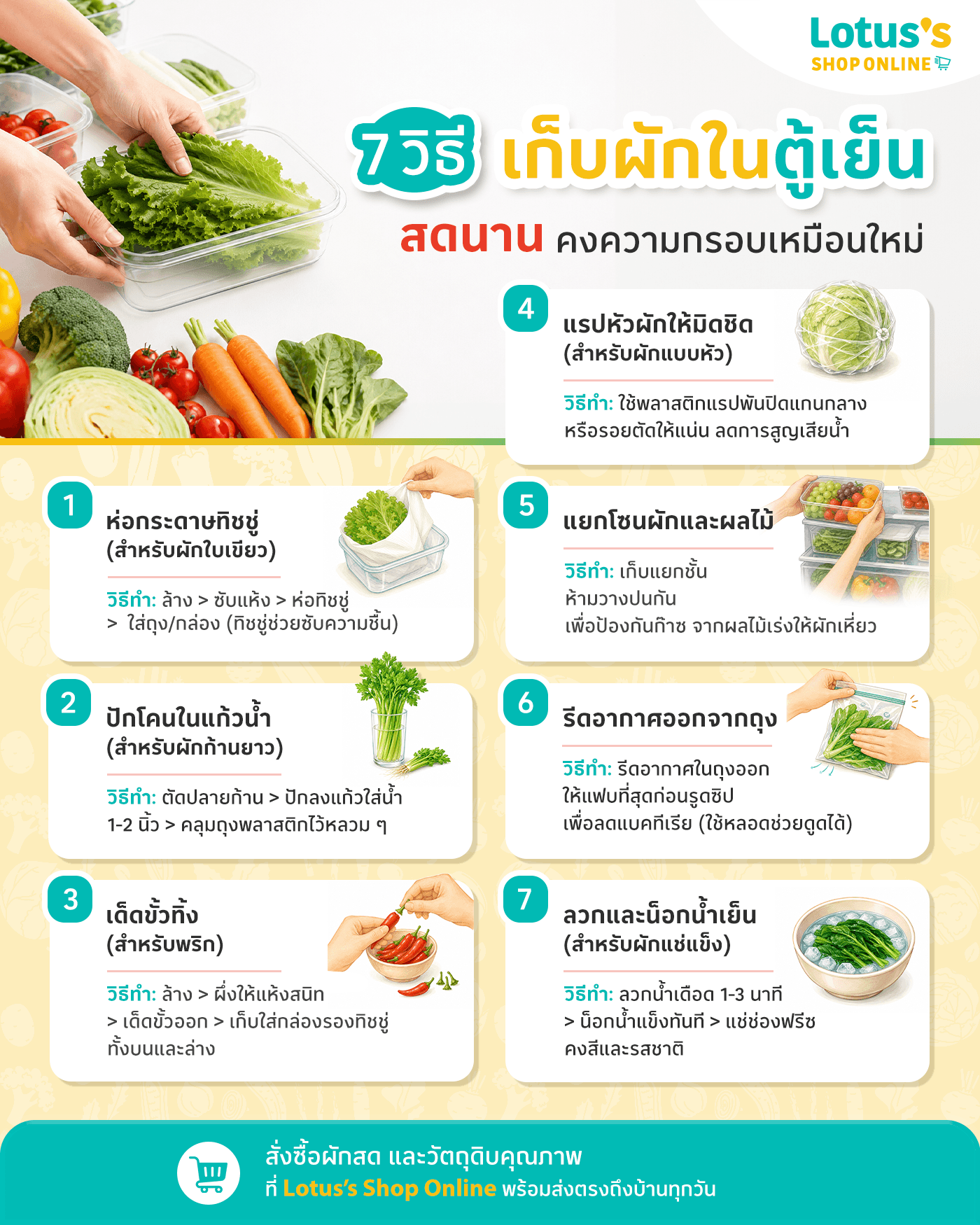 แนะนำ 7 วิธีเก็บผักในตู้เย็นไม่ให้เน่า คงความสดใหม่เหมือนเพิ่งสั่งจาก Lotus’s