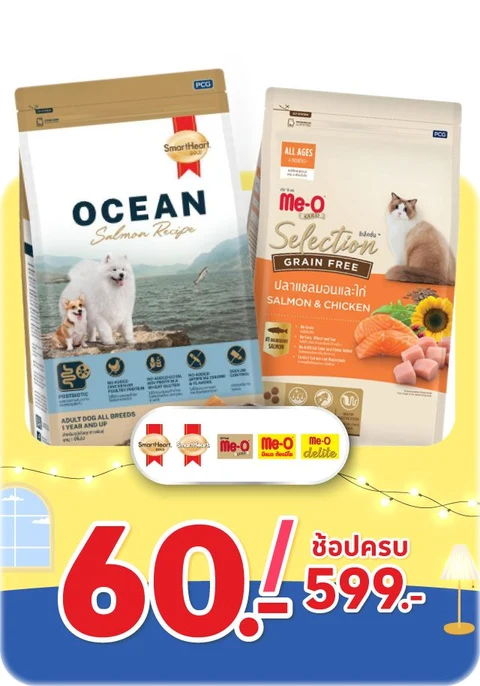 สินค้าเพื่อสัตว์เลี้ยง : Pet Food and Product
