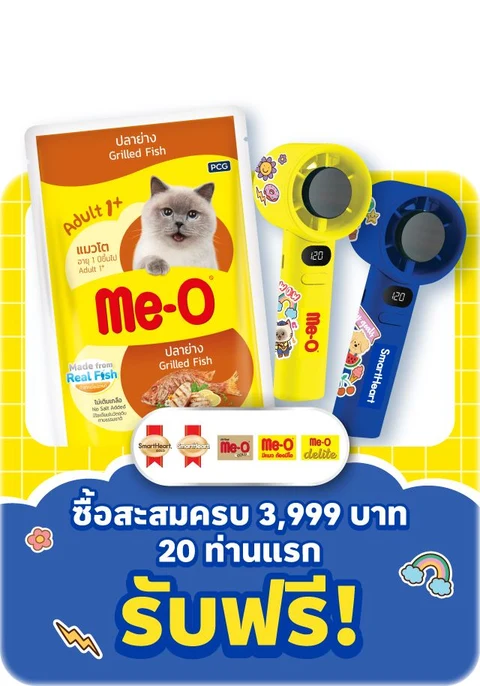 สินค้าเพื่อสัตว์เลี้ยง : Pet Food and Product