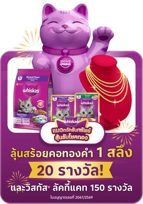 สินค้าเพื่อสัตว์เลี้ยง : Pet Food and Product