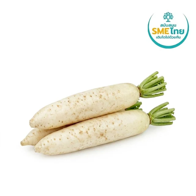 RADISH KG