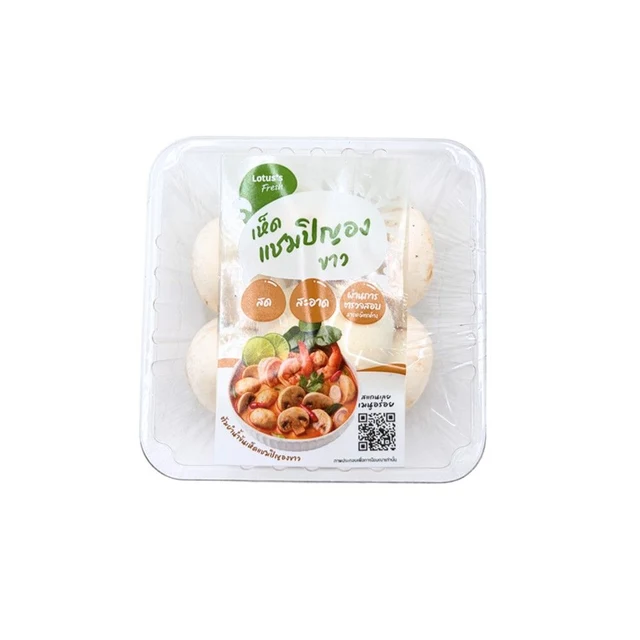 CHAMPIGNON MUSHROOM PACK 100 G