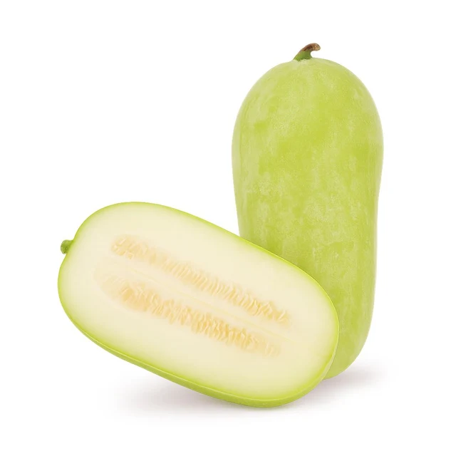 WINTER MELON KG