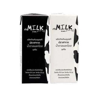 M MILK UHT MILK LACTOSE FREE PLAIN 180 ML PACK 2