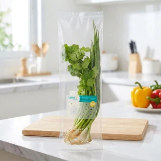 LOTUSS SPRING ONION AND CORIANDER PACK 70 G