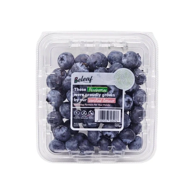 BLUEBERRY PACK 125 G