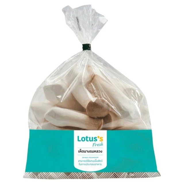 LOTUSS ERYNGI MUSHROOM PACK 500 G