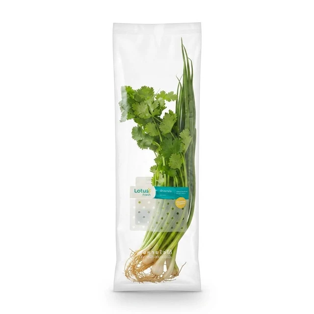LOTUSS SPRING ONION AND CORIANDER PACK 70 G