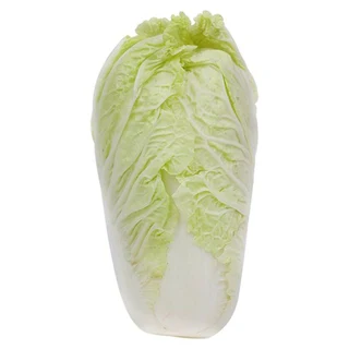 ROYAL PROJECT FOUNDATION WHITE CABBAGE KG