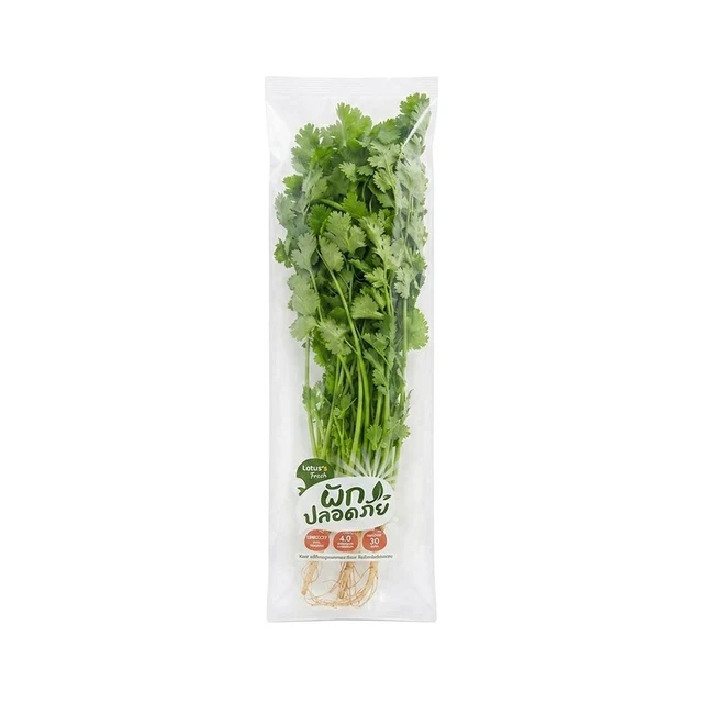 LOTUSS CORIANDER PACK 50 G