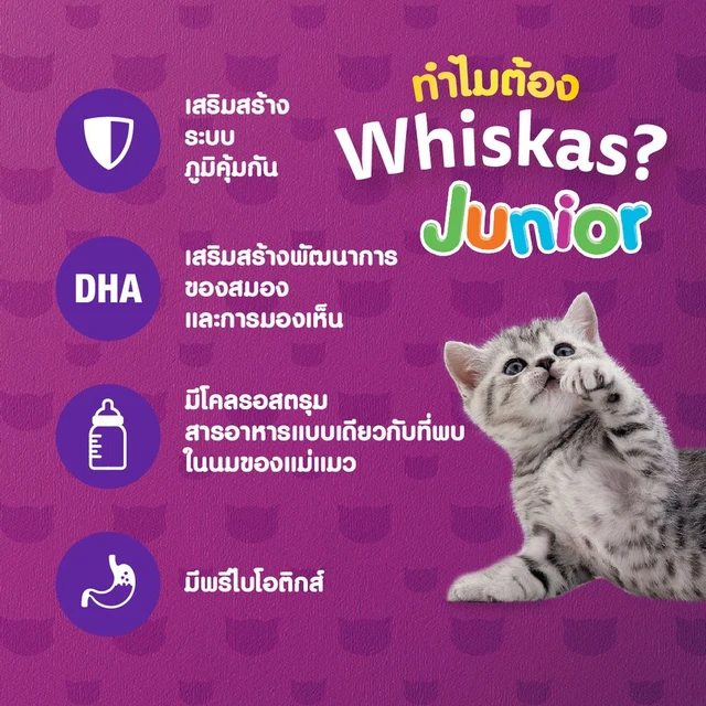 วิสกัส อาหารแมว ชนิดเม็ด ลูกแมว รสปลาทู 1.1กก
