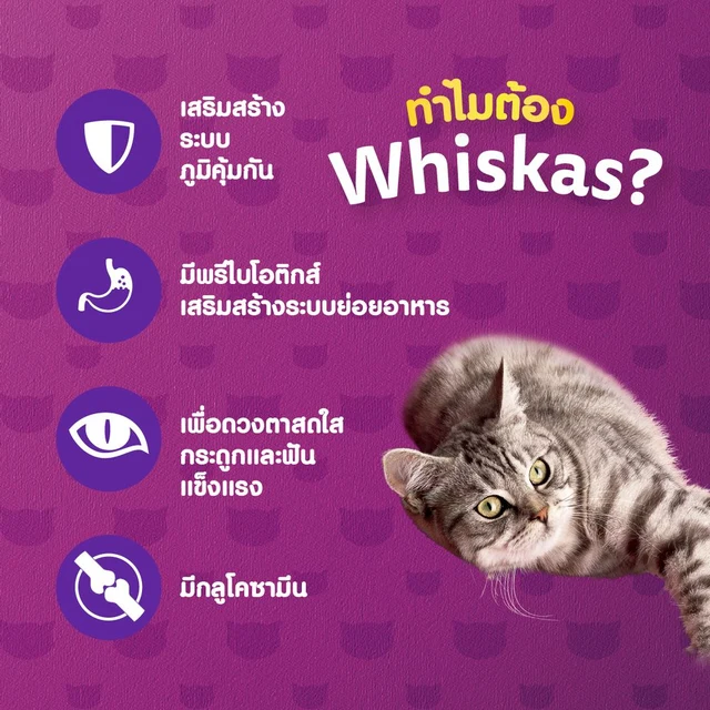 วิสกัส ซีเนียร์ อาหารแมว รสปลาทู 1.1 กก.