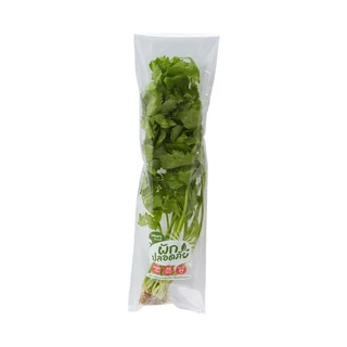 LOTUSS CELERY 70G. PACK