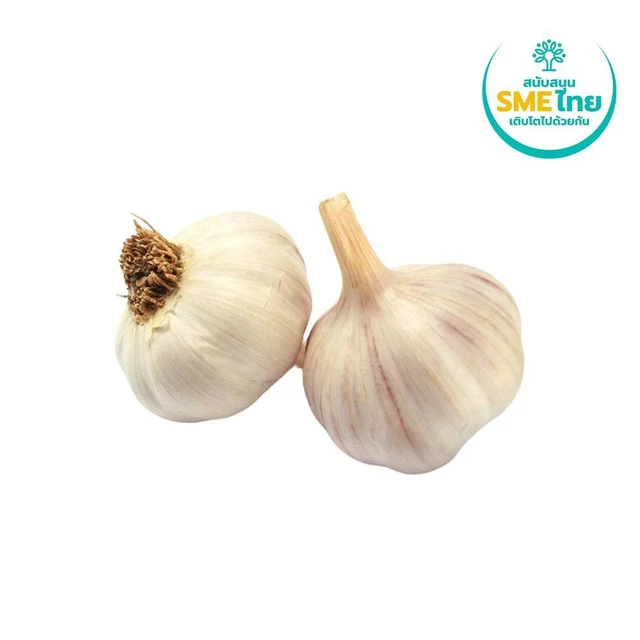 CUTTING EDGE GARLIC PACK 500 G